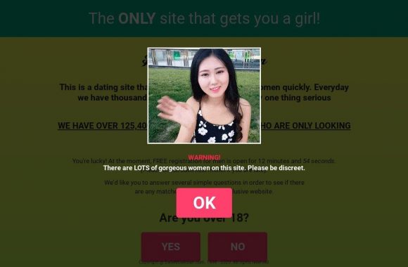 Date Nice Asian Site Review
